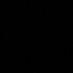 Meet your Posher, Jose